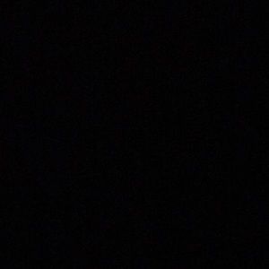 Meet your Posher, Audrey